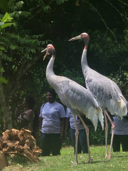 Trip-To-Safari-Valley photograph