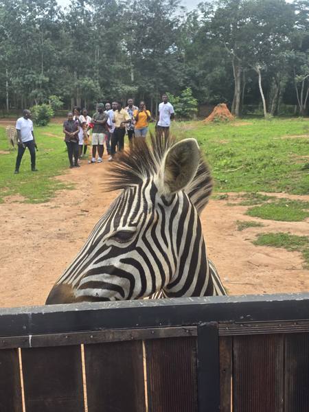 Trip-To-Safari-Valley photograph